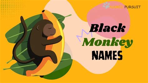 300+ Boy Monkey Names (Cute, Funny & Unique)