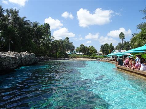 Dolphin Cove at SeaWorld Orlando - ZooChat