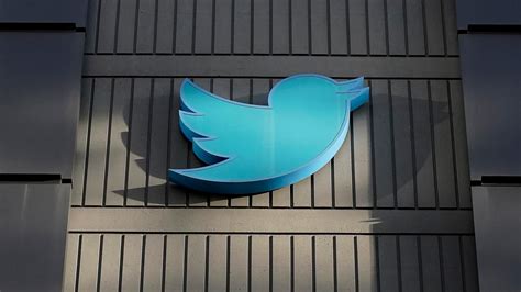 Twitter sacks 50% staff as Elon Musk launches overhaul: Report