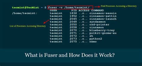 What is Fuser & Is it Worth My Time? – Everything you Need To Know | Liberian Geek