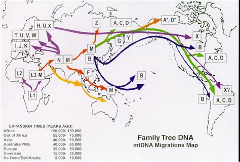 Haplogroup X in China, Egypt, North Africa, Caucasus, Central Asia, and European alludes to ...