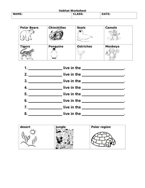 Habitats worksheet- grade 1 science | Science worksheets, Free science worksheets, 1st grade ...