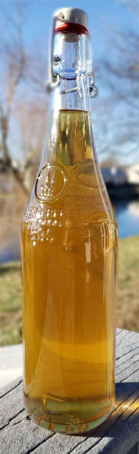 Mead from year 1906 recipe (Russian beer-mead) : mead