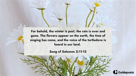 20 Bible Verses About Spring and New Life - Guideposts