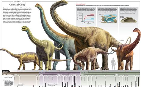 Desafiando a Nomenklatura Científica: Biologia dos dinossauros saurópodes: a evolução do gigantismo