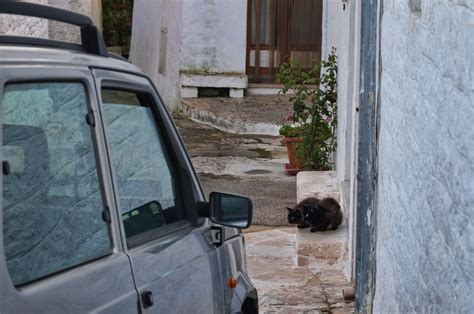 Free Images : car, window, vehicle, italy, fuji, fujix, fujixe1, e1, alberobello, truli ...