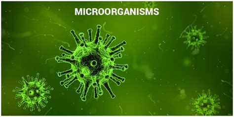 Microorganisms- Types, Diseases Caused by Microorganisms, Microbes