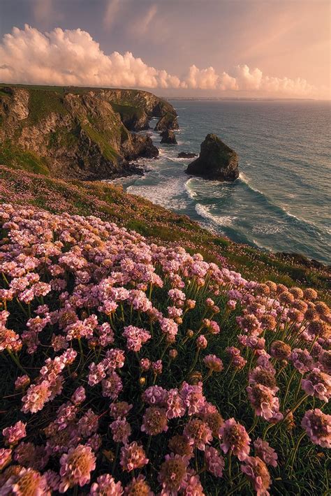 allthingseurope: “Bedruthan Steps, England (by Milos Lach) ” Spring Aesthetic, Nature Aesthetic ...