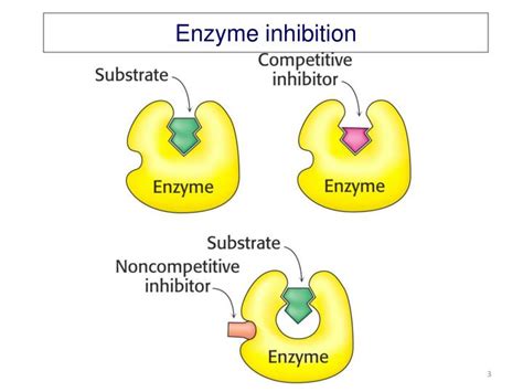 PPT - Lecture 7-Enzyme Inhibition-Drug Discovery PowerPoint Presentation - ID:5580915