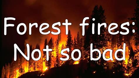 Forest Fires: Not Actually the Worst - YouTube