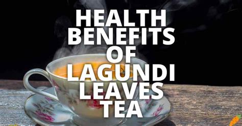 18 Potential Health Benefits Of Lagundi Leaves Tea