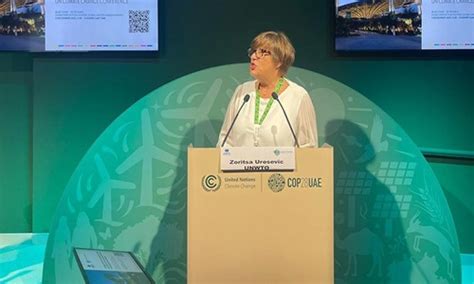 Tourism at COP28 – Delivering on the Climate Action Commitments of the ...