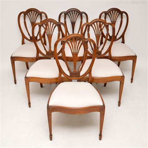 6 Antique Mahogany Sheraton Style Dining Chairs - Antiques Atlas