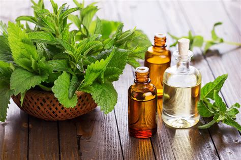 Peppermint Oil for Hair Growth is FINALLY Backed by Research | beauty hair