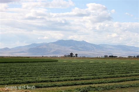 Road Trip USA: Mud Lake, Idaho - Cheery Kitchen