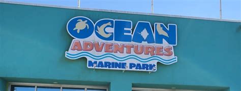 Ocean Adventures Marine Park - Go Wandering