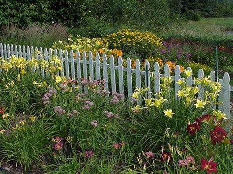 18 best Lily Garden images on Pinterest | Lily garden, Flower power and Irises