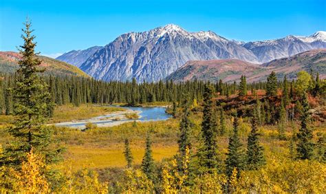 A Guide to Denali National Park | RVshare.com