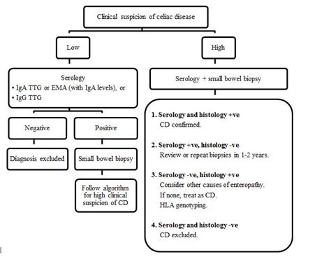 Figure 1. Algorithm for diagnosing celiac disease (IgA: Immunoglobulin ...