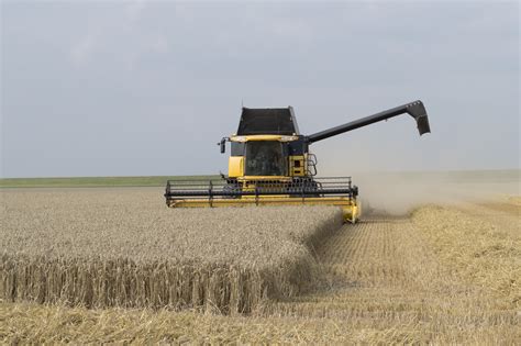 Free Images : field, wheat, grain, prairie, food, crop, agriculture ...