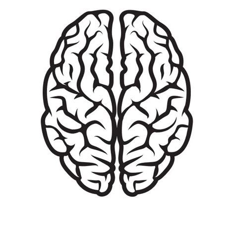 Brain Clipart Black And White