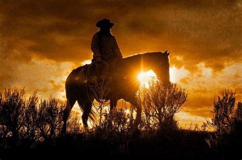 Sunset cowboy on horseback | Cowboy pictures, Equine photography, Beautiful horses