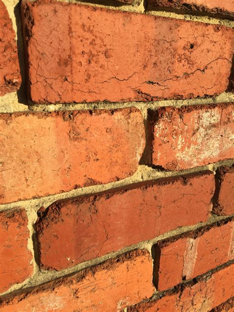 Protruding bricks Bricks, Backyard, Patio, Brick, Backyards