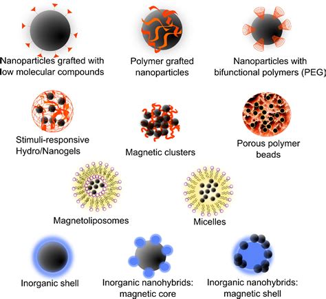 Figure 2 from Tailored functionalization of iron oxide nanoparticles for MRI, drug delivery ...