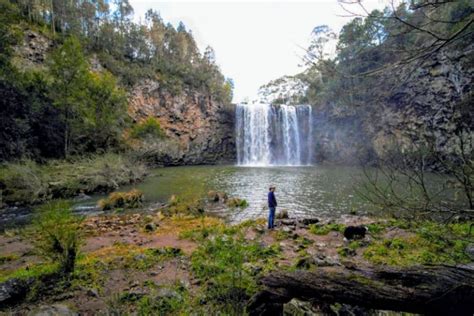 Dog Friendly Waterfall Way Itinerary | How To Do The Waterfall Way Travelling With A Dog