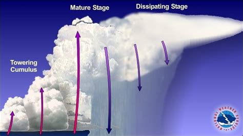 Tornado Formation Stages