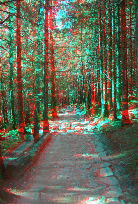 The Path2 3D anaglyph by yellowishhaze on DeviantArt