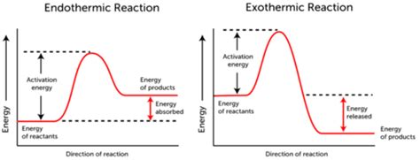 😊 Endothermic and exothermic examples. Endothermic process. 2019-01-15