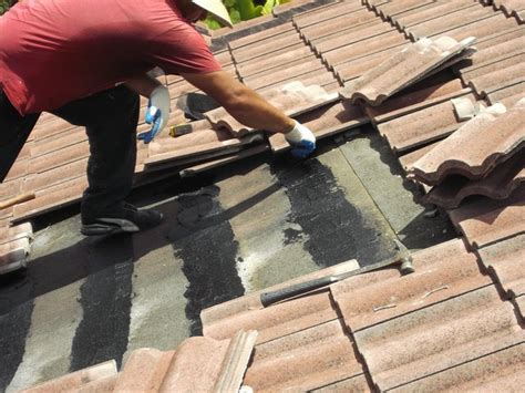 Roof Repairs & New Roofs in Miami Leaking Roof & Broken Roof Tiles