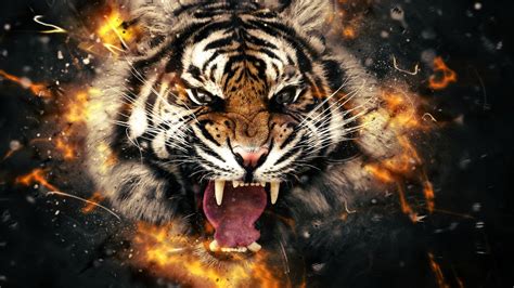 Fierce Tiger - 1920x1080 Wallpaper - teahub.io