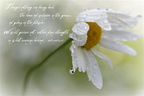 Bereavement Quotes. QuotesGram