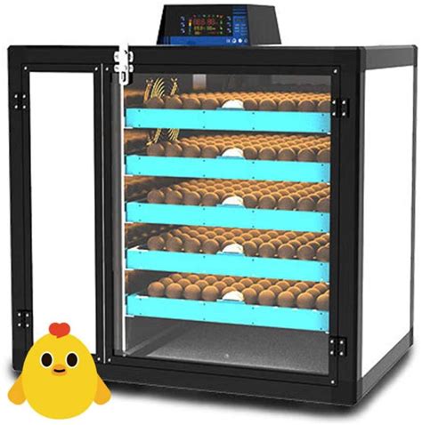 Best‌ ‌Egg‌ ‌Incubators‌ ‌UK‌ 2021 | For A Higher Success Rate - Discount Age