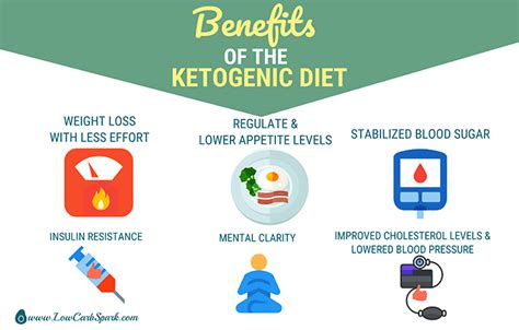 The Ketogenic Diet: A Complete Keto Diet Beginner to Keto