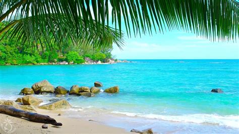 Tropical Island Beach Ambience Sound - 8 Hours Ocean Sounds For Relaxation And Holiday Feeling ...