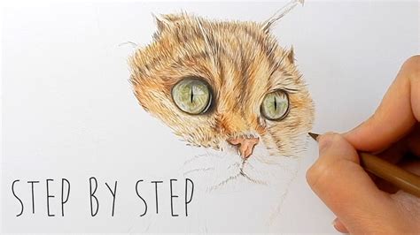 Step by Step | How to draw, color realistic cat fur and nose with ...