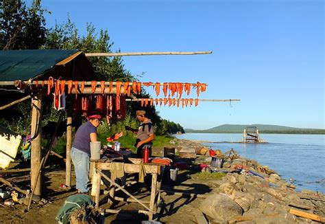 Cutting Fish on the Yukon | The fish wheel in the river turn… | Flickr