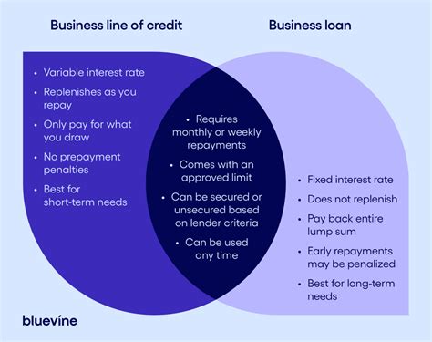 Business Line of Credit vs. Business Loan | Bluevine | Bluevine