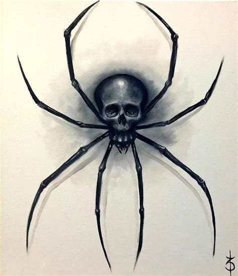 Spider Skull | Spider tattoo, Spider art, Skull art