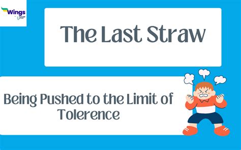 The Last Straw Meaning, Usage With Examples, Synonyms and Quiz | Leverage Edu