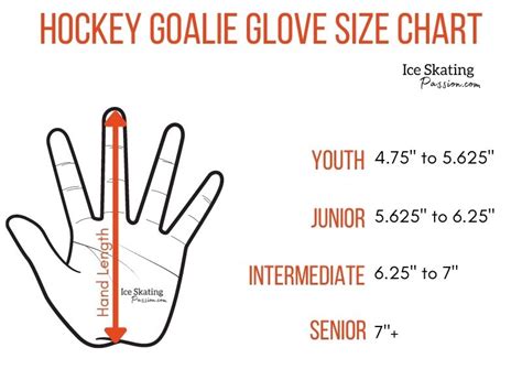 Ice Hockey Gloves Size Chart - Images Gloves and Descriptions Nightuplife.Com