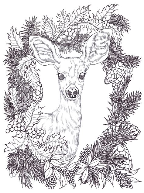 Happy Holidays Deer Printable Coloring Pages From Binna Kim Art animal ...