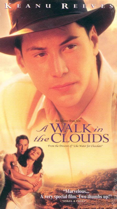 A Walk in the Clouds (1995) - Alfonso Arau | Synopsis, Characteristics ...