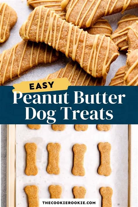 Homemade Dog Treats Recipe - Peanut Butter Dog Treats (How-to Video)