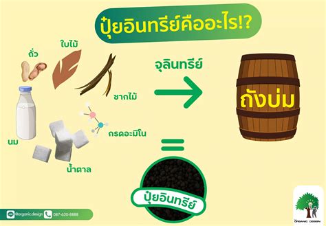 ปุ๋ยอินทรีย์ คืออะไร ? - idesignorganic