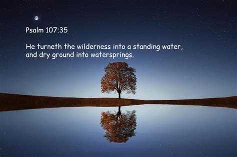 Bible Verses About God Provides Water (KJV)