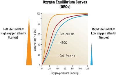 Frontiers | The Impact of COVID-19 Infection on Oxygen Homeostasis: A Molecular Perspective